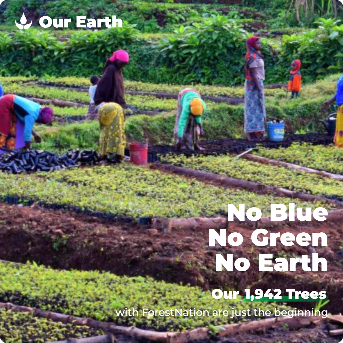 Workers tending rows of tree seedlings at a ForestNation tree nursery, with the words No Blue, No Green, No Earth