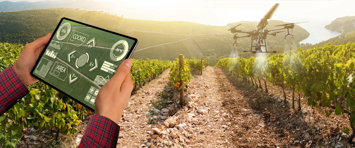 Drone spraying crops