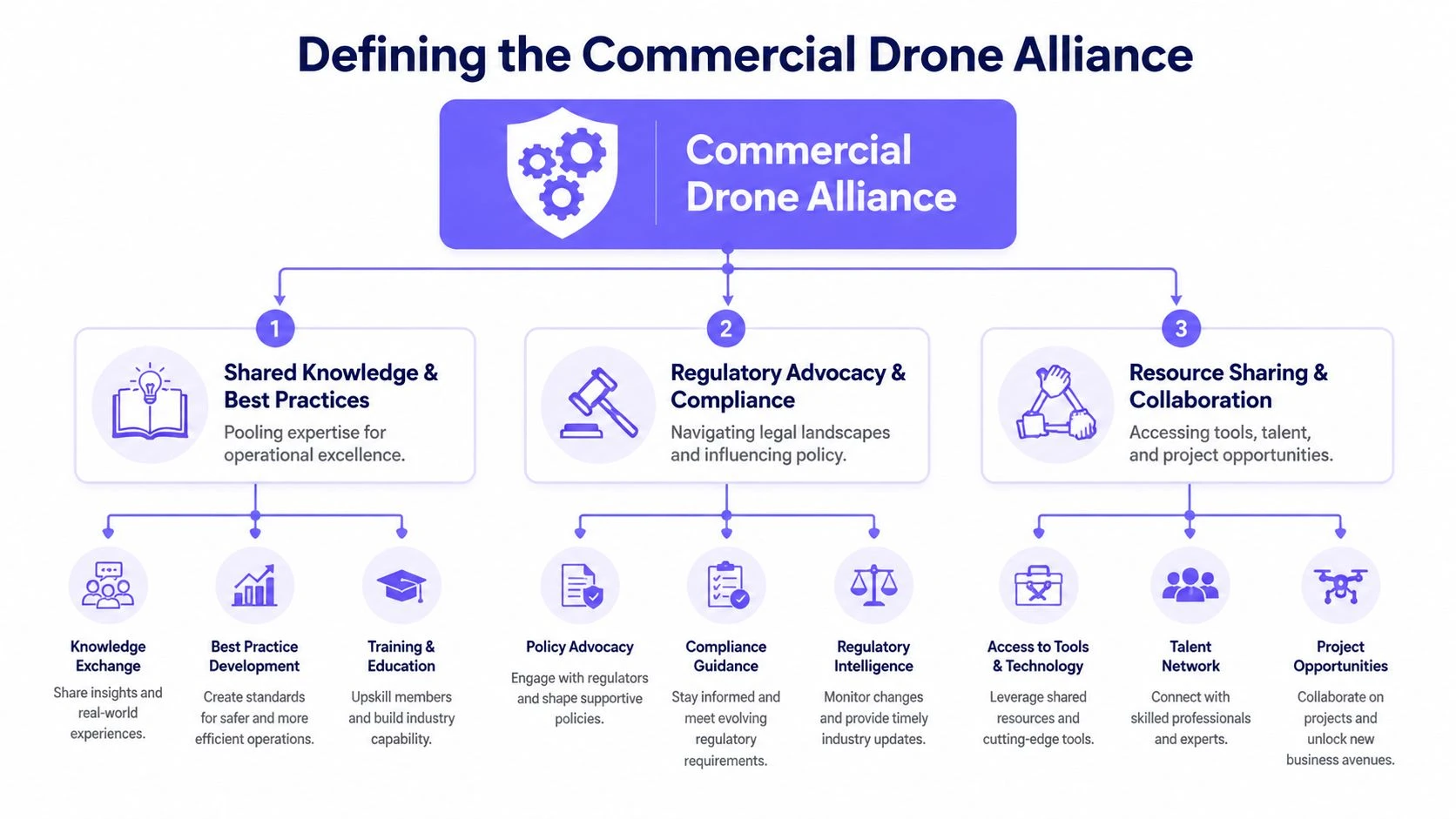 A diagram outlining the goals and functions of the Commercial Drone Alliance for the drone industry.