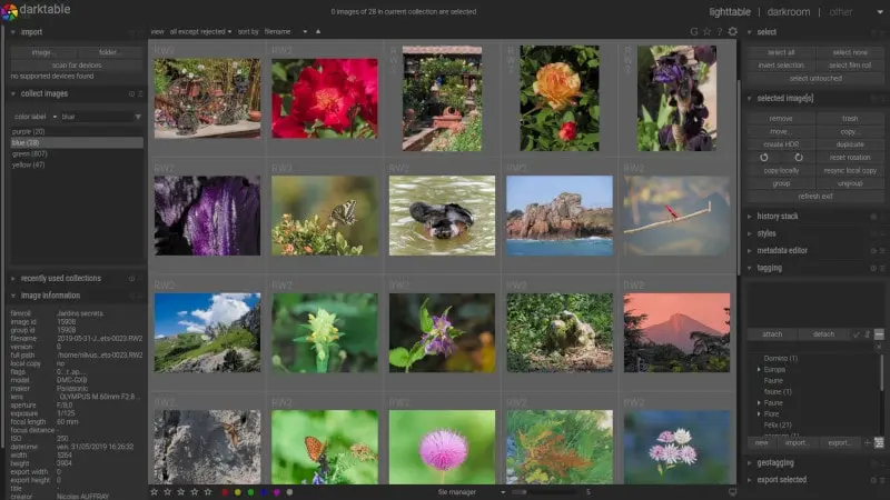 darktable Screenshot