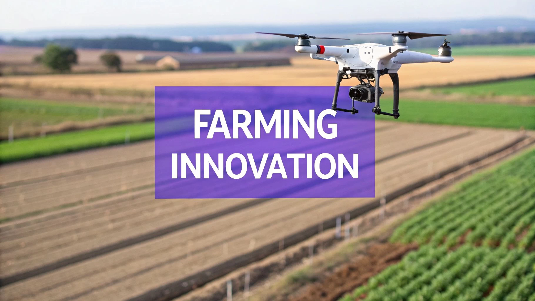 Drone Agricultural - Top 8 Farming Solutions