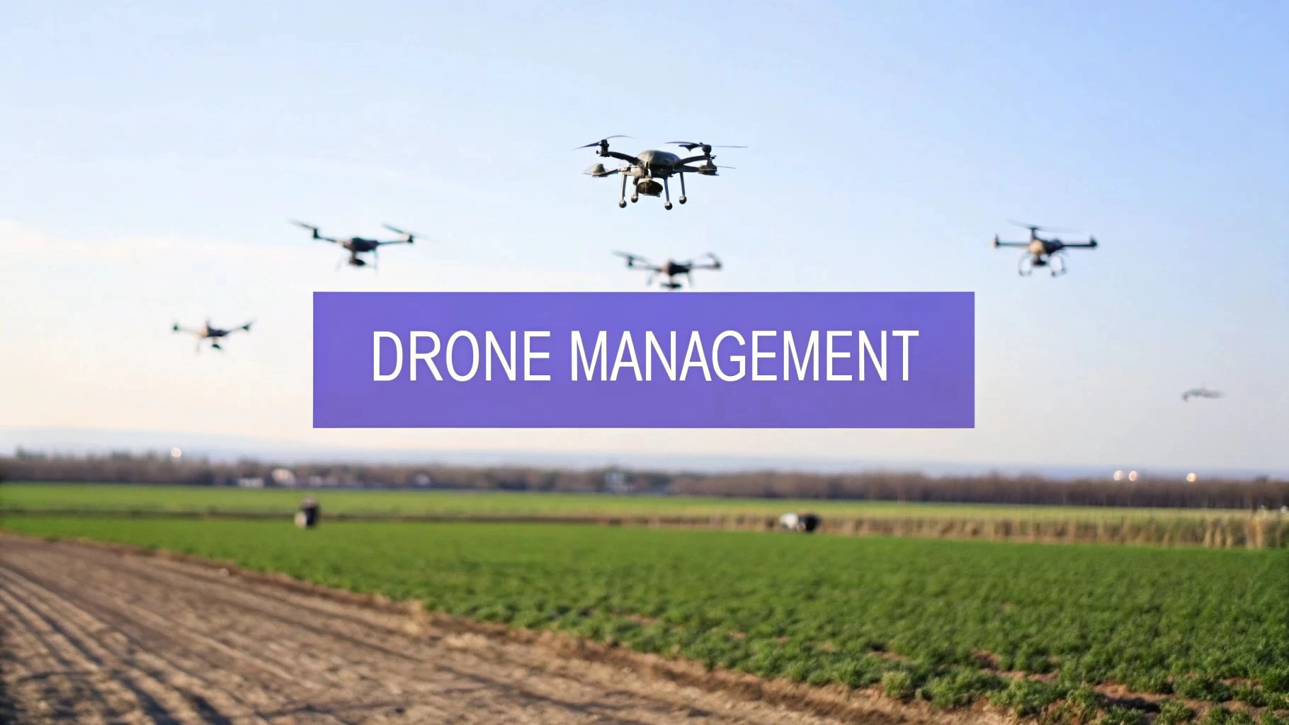 Ultimate Guide to Drone Fleet Management Software - Streamlining Your Aerial Operations